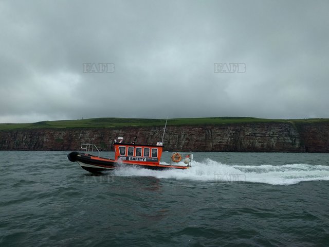 Large picture for advert 109442
