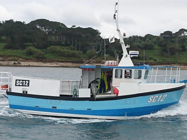 Large picture for advert 113392