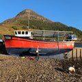 Extra picture for advert 124042