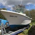 Extra picture for advert 117342