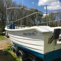 Extra picture for advert 117342