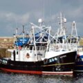 Extra picture for advert 111392