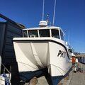 Extra picture for advert 121292